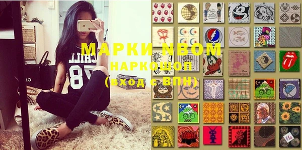 apvp Инта