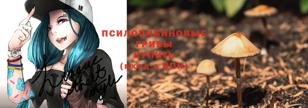 МДПВ Иннополис