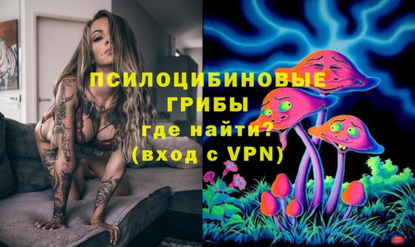 apvp Инта