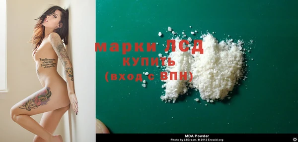 apvp Инта