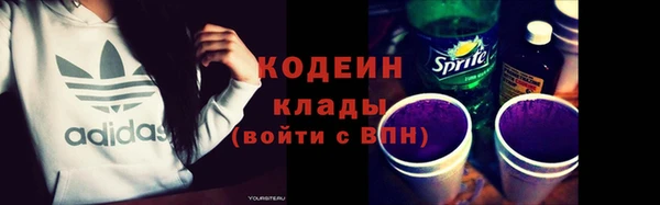 apvp Инта
