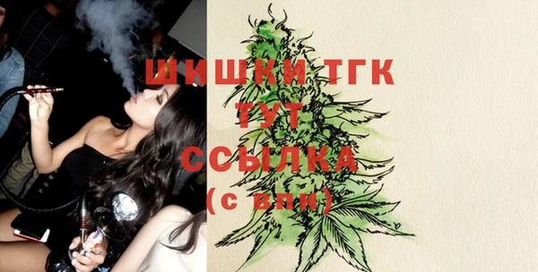 СК Инсар