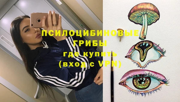 СК Инсар