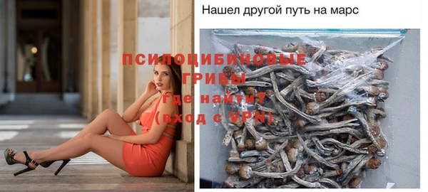 apvp Инта