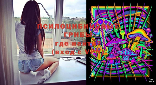 МДПВ Иннополис