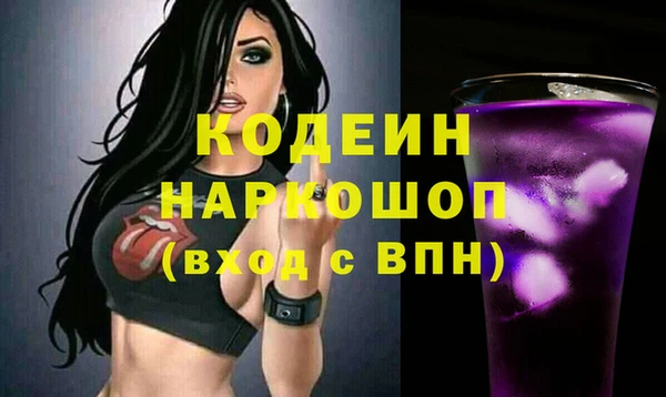 apvp Инта