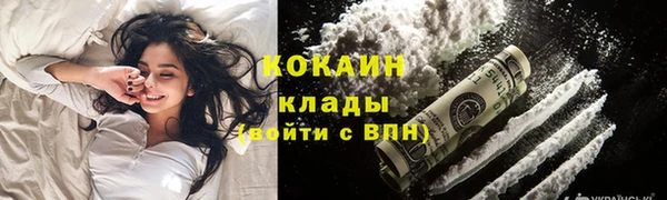 apvp Инта