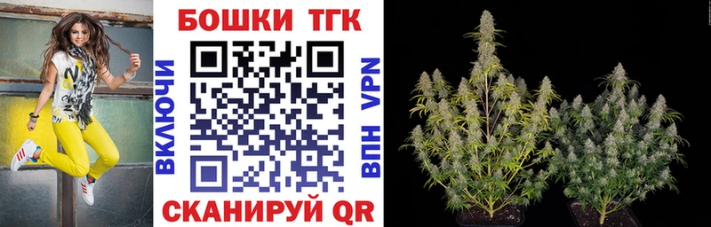 купить наркоту  blacksprut онион  Марихуана конопля  Сольвычегодск 
